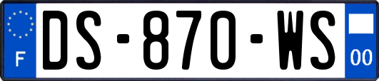 DS-870-WS