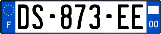 DS-873-EE