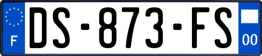 DS-873-FS