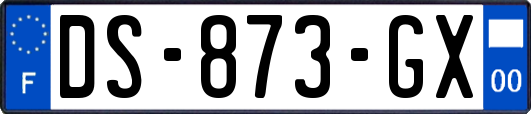 DS-873-GX