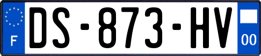 DS-873-HV