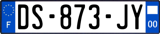 DS-873-JY