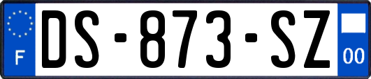 DS-873-SZ