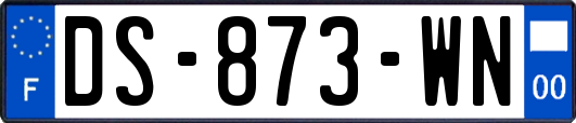 DS-873-WN