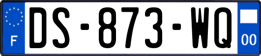 DS-873-WQ