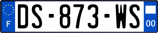 DS-873-WS
