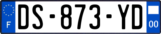 DS-873-YD