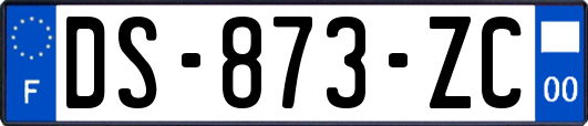 DS-873-ZC