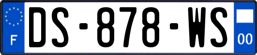DS-878-WS
