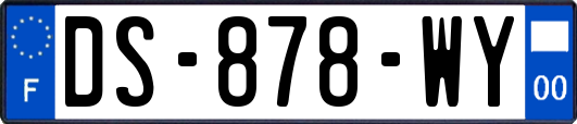 DS-878-WY
