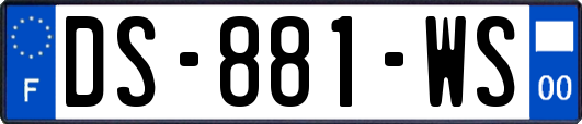 DS-881-WS