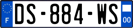 DS-884-WS