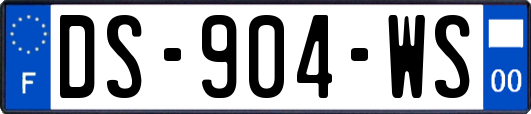 DS-904-WS