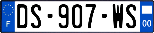 DS-907-WS