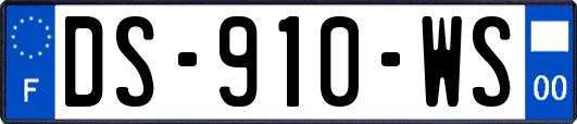 DS-910-WS