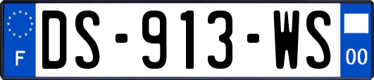 DS-913-WS