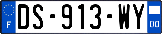 DS-913-WY