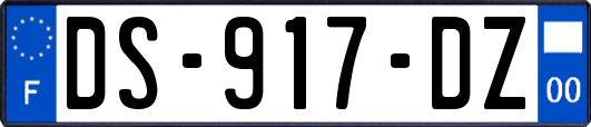 DS-917-DZ