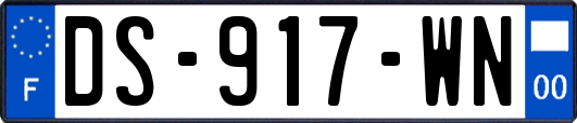 DS-917-WN