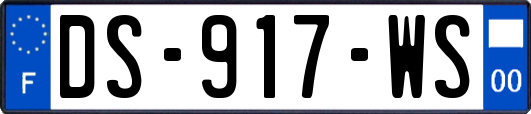 DS-917-WS