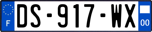 DS-917-WX