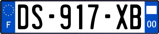 DS-917-XB