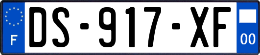 DS-917-XF