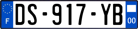 DS-917-YB