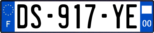 DS-917-YE