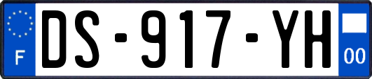 DS-917-YH