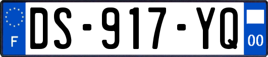 DS-917-YQ