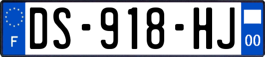 DS-918-HJ