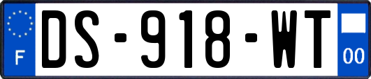 DS-918-WT