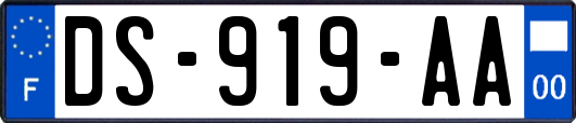 DS-919-AA