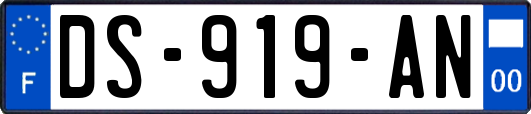 DS-919-AN