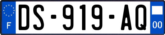 DS-919-AQ