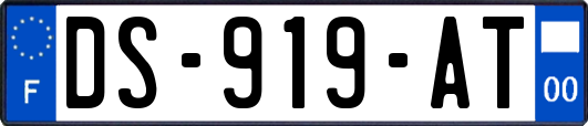 DS-919-AT