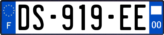 DS-919-EE