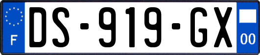 DS-919-GX