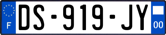 DS-919-JY