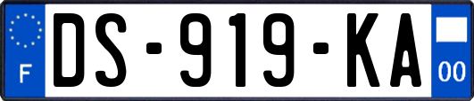 DS-919-KA