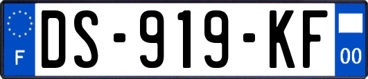 DS-919-KF