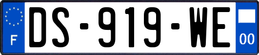 DS-919-WE