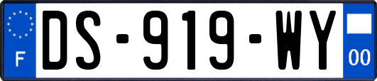 DS-919-WY
