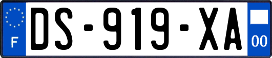 DS-919-XA