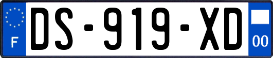 DS-919-XD