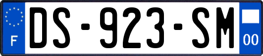 DS-923-SM