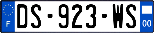 DS-923-WS