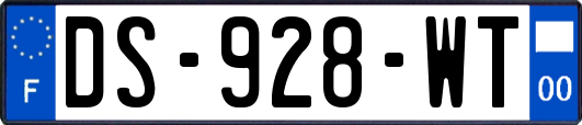 DS-928-WT