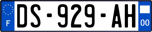 DS-929-AH